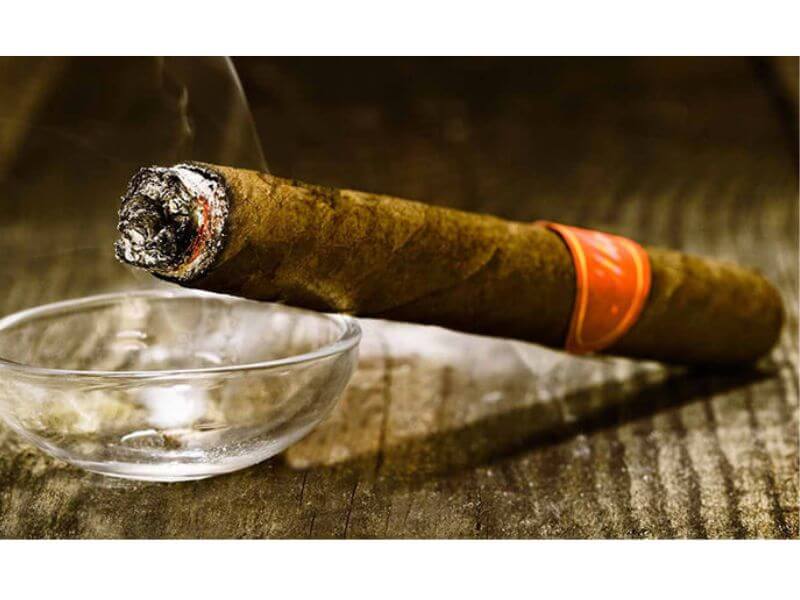 Hương vị chinh phục những tay chơi sành điệu